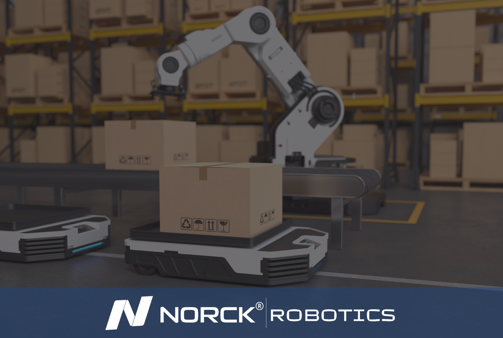 Nor Robotics Industrial Robotics Solutions | Norck Robotics Systems